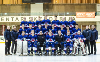 Sigur á Bosníu tryggði sæti í úrslitaleiknum