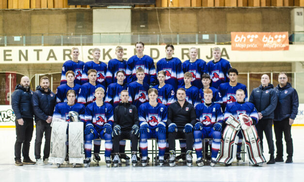 Sigur á Bosníu tryggði sæti í úrslitaleiknum